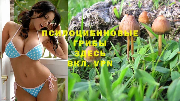 mix Абинск