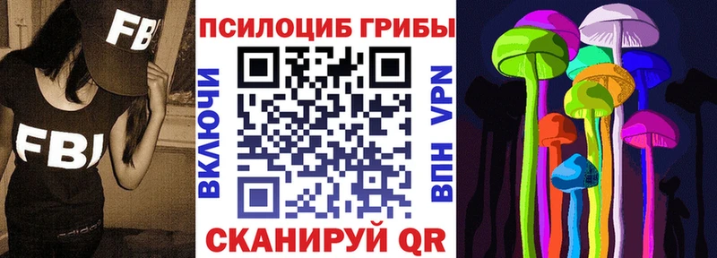 Галлюциногенные грибы Cubensis  купить   Дербент 